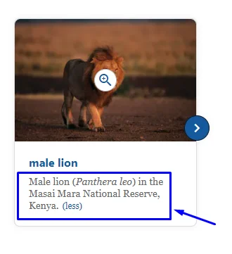 Screenshot showing where to find image caption
