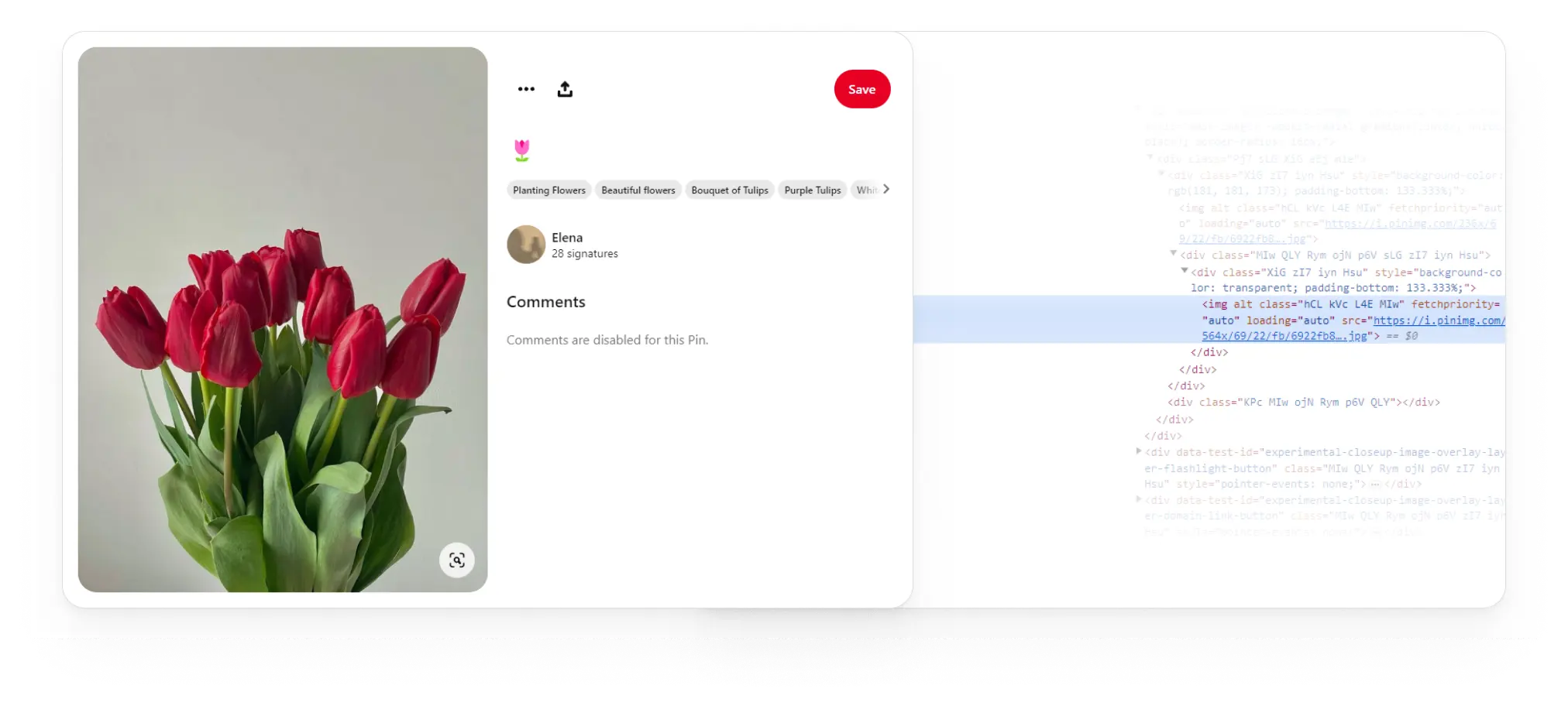How the product looks like on the website and its code with alt text
